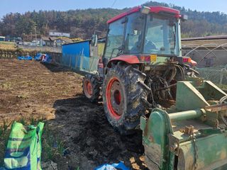 오영관님의 감자심기 하셨나요? · 참여글 작성글 사진