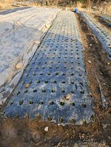 팜모닝 자유주제·자유게시판 게시글 이미지