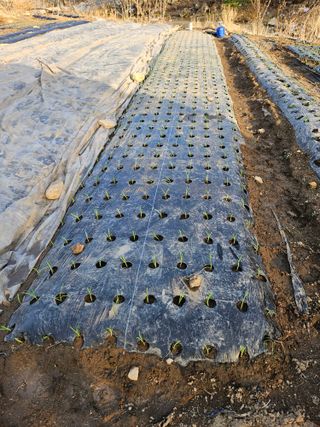 채경희님의 자유주제 · 자유게시판 작성글 사진