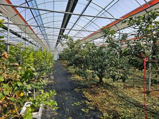 복희네농장(달콤향)님의 자유주제 · 사진전 작성글 사진