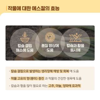 누보농장님의 자유주제 · 자유게시판 작성글 사진