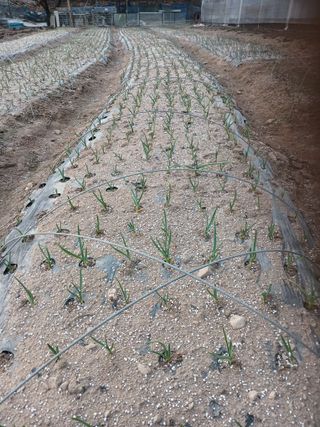 전국하님의 자유주제 · 자유게시판 작성글 사진