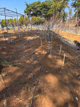 자연인님의 자유주제 · 자유게시판 작성글 사진