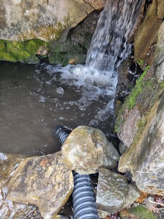 김용대님의 자유주제 · 자유게시판 작성글 사진