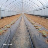 팜모닝 자유주제·자유게시판 게시글 이미지