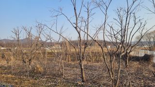 양파7337님의 자유주제 · 자유게시판 작성글 사진