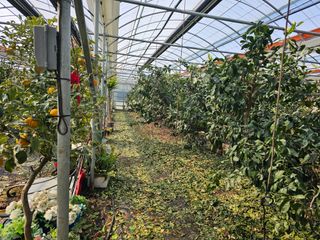 복희네농장(달콤향)님의 자유주제 · 사진전 작성글 사진