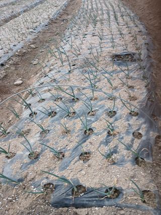 전국하님의 자유주제 · 자유게시판 작성글 사진