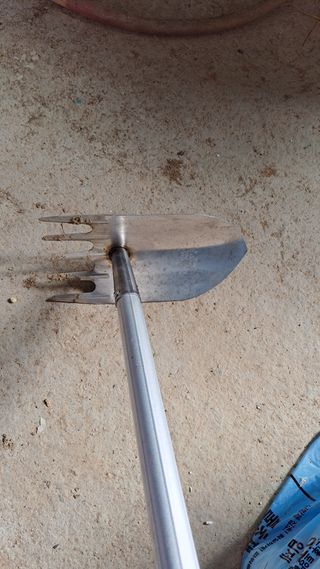 나도농부님의 자유주제 · 자유게시판 작성글 사진