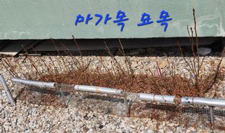 고추건조기부품판매님의 자유주제 · 자유게시판 작성글 사진