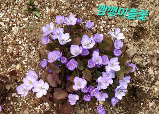 고추건조기부품판매님의 자유주제 · 자유게시판 작성글 사진