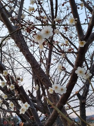 식만동 복합영농님의 자유주제 · 자유게시판 작성글 사진