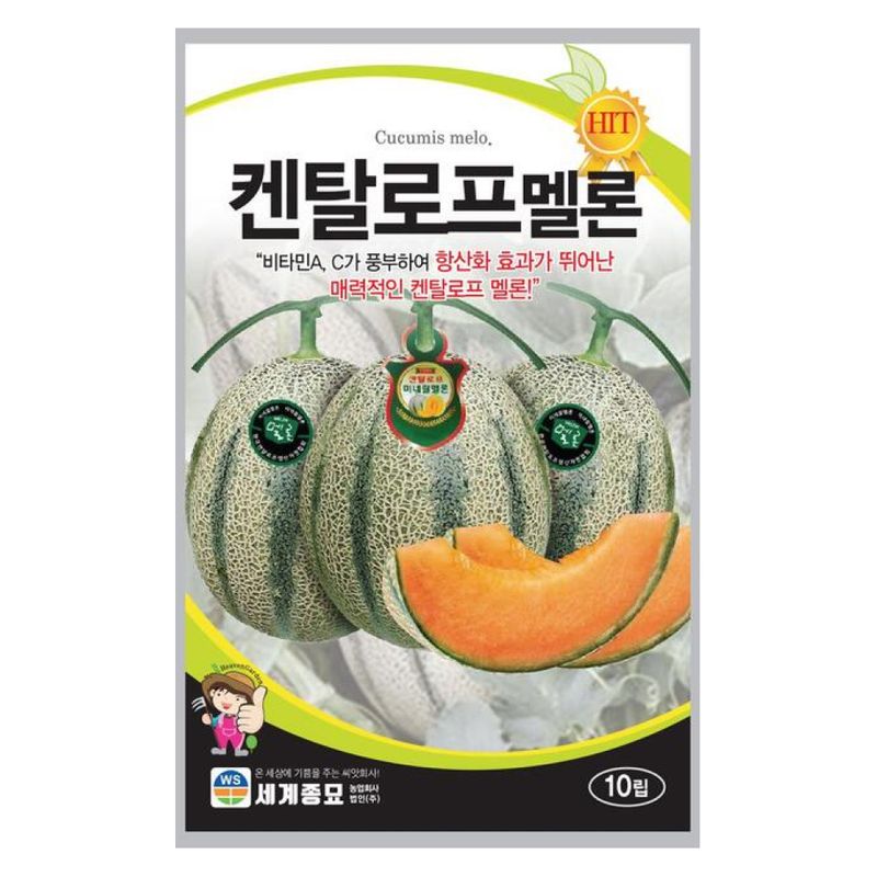 장터 상품 [[세계종묘] 켄탈로프멜론 10립] 썸네일