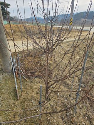 자연인님의 자유주제 · 자유게시판 작성글 사진