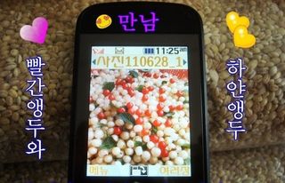 고추건조기부품판매님의 자유주제 · 자유게시판 작성글 사진