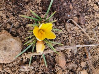 이박농장님의 자유주제 · 자유게시판 작성글 사진