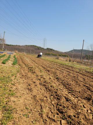 귤16464님의 자유주제 · 자유게시판 작성글 사진