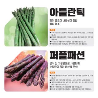 아시아종묘님의 자유주제 · 자유게시판 작성글 사진