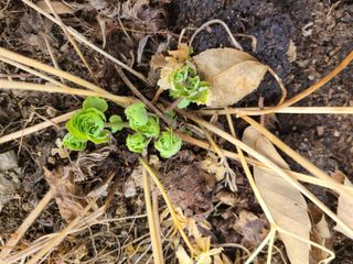 이박농장님의 자유주제 · 자유게시판 작성글 사진