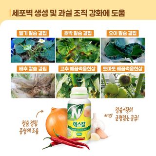 누보농장님의 자유주제 · 자유게시판 작성글 사진
