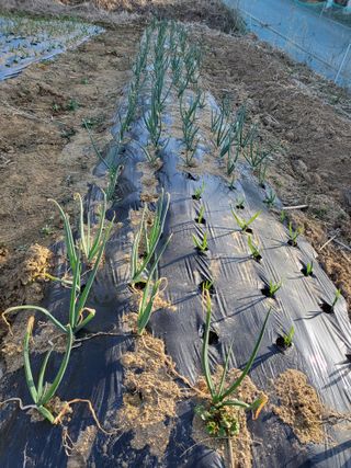 칠곡가산 최지훈님의 자유주제 · 자유게시판 작성글 사진