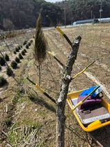 팜모닝 자유주제·자유게시판 게시글 이미지