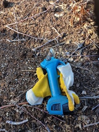 오임돈님의 자유주제 · 자유게시판 작성글 사진