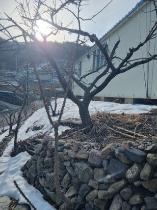 김용대님의 자유주제 · 자유게시판 작성글 사진