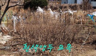 고추건조기부품판매님의 자유주제 · 자유게시판 작성글 사진