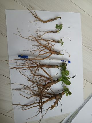 김종덕님의 자유주제 · 자유게시판 작성글 사진