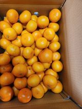 팜모닝 · 게시글 이미지