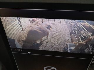 알 수 없음님의 자유주제 · 자유게시판 작성글 사진