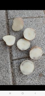 팜모닝 자유주제·자유게시판 게시글 이미지