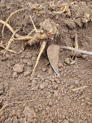 밀양달콤팜님의 자유주제 · 자유게시판 작성글 사진