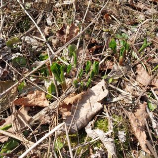 김동호님의 자유주제 · 자유게시판 작성글 사진