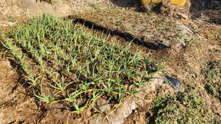 조운님의 자유주제 · 자유게시판 작성글 사진