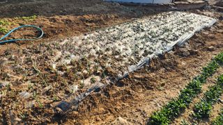 조운님의 자유주제 · 자유게시판 작성글 사진