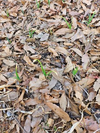 류만수님의 자유주제 · 자유게시판 작성글 사진