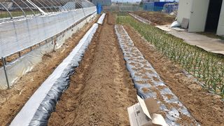 이서구님의 자유주제 · 자유게시판 작성글 사진