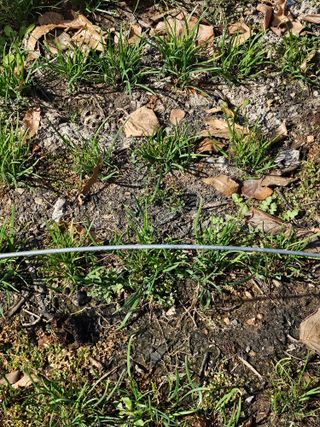 류만수님의 자유주제 · 자유게시판 작성글 사진