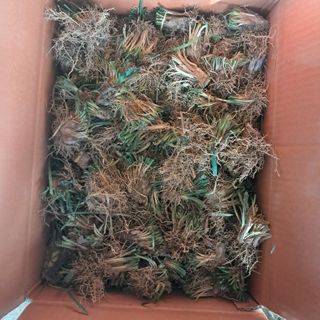 이은화님의 자유주제 · 자유게시판 작성글 사진