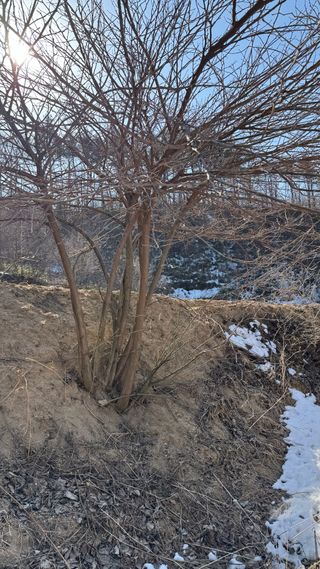 홍주희님의 자유주제 · 자유게시판 작성글 사진