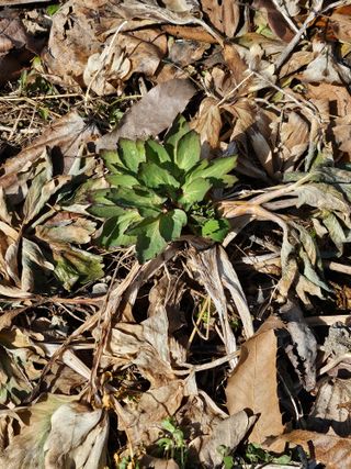 류만수님의 자유주제 · 자유게시판 작성글 사진