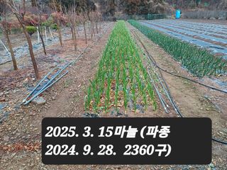 박성민님의 자유주제 · 자유게시판 작성글 사진