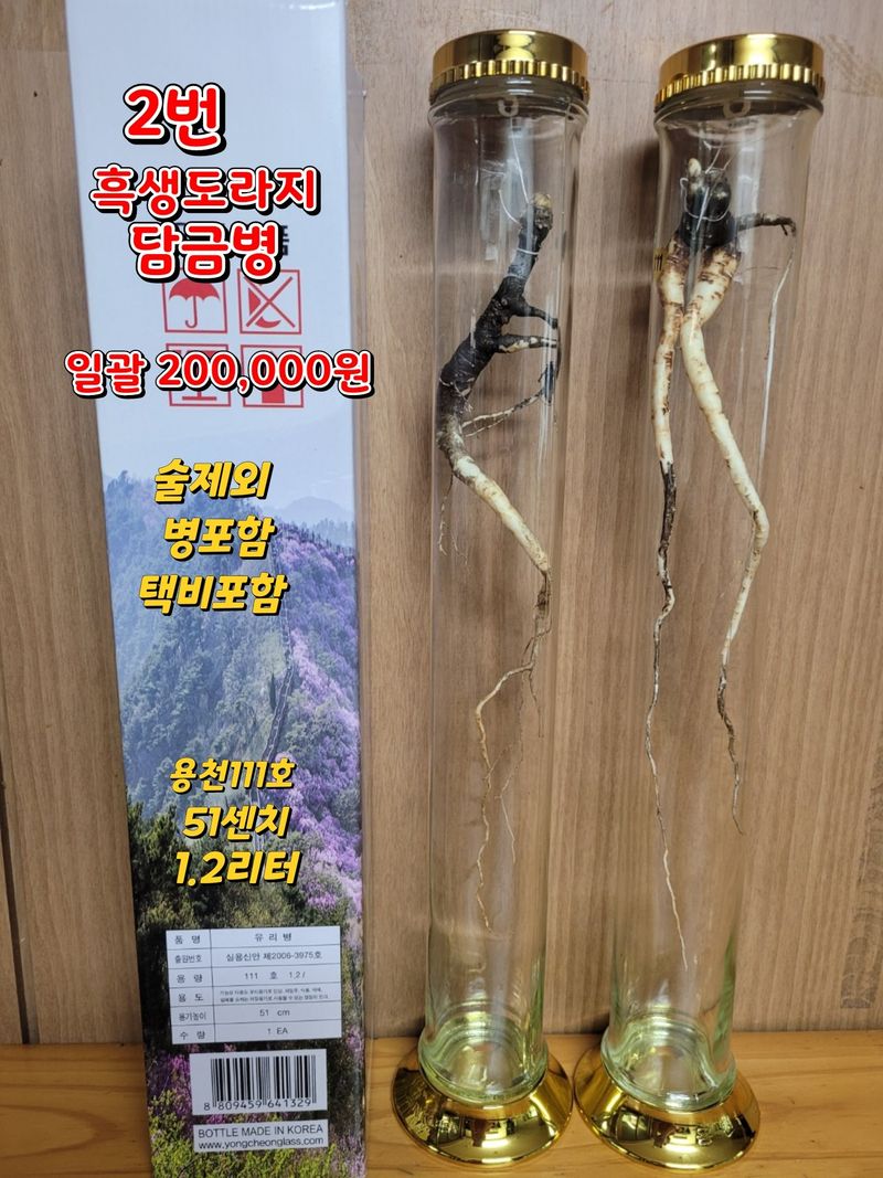 김봉호님의 장터 판매 상품 [흑생도라지/지치 담금병] 첨부 사진