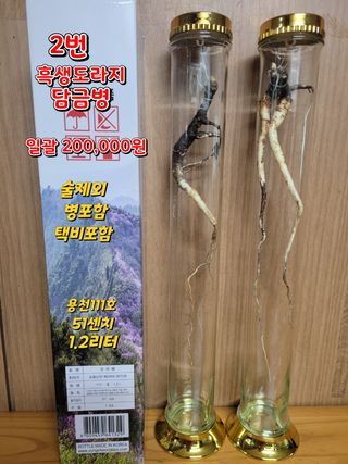 김봉호님의 작성글 사진