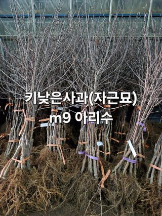 우리농원님의 자유주제 · 자유게시판 작성글 사진