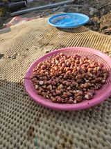 팜모닝 자유주제·사진전 게시글 이미지