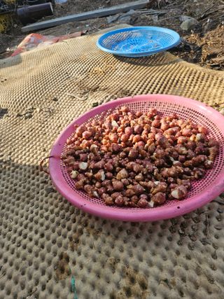 딸기11775님의 자유주제 · 사진전 작성글 사진