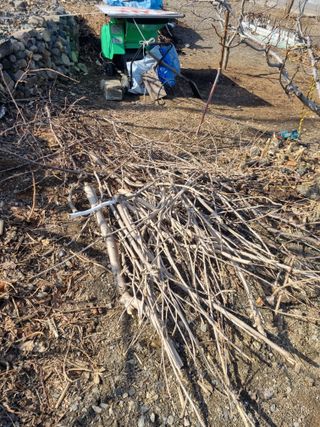 김용대님의 자유주제 · 자유게시판 작성글 사진